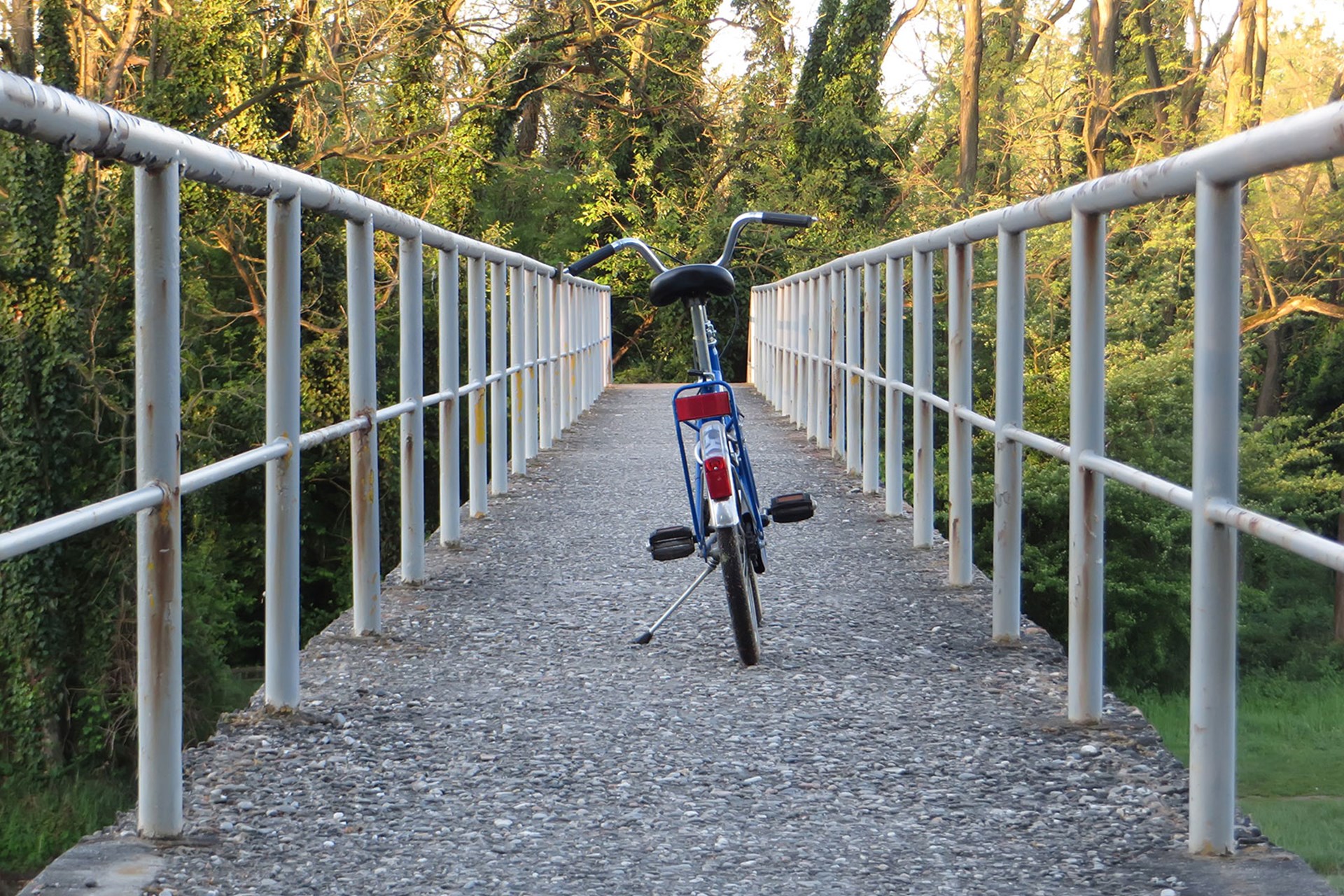 Giornate tecniche percorsi ciclabili